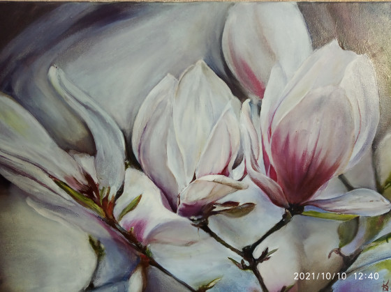 Painting маслом "Szczecińska magnolia"