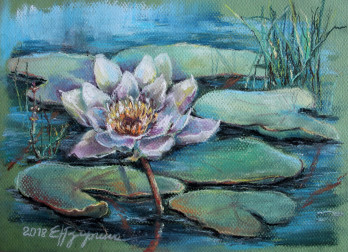 Painting пастелью Водяная лилия