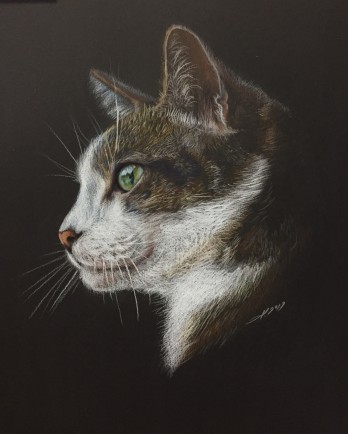 Painting карандашом “aristocratic”