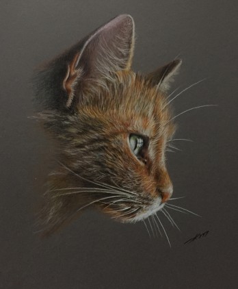 Painting карандашом «Интересно»