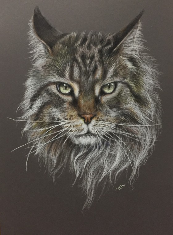 Painting карандашом Mr .Maine