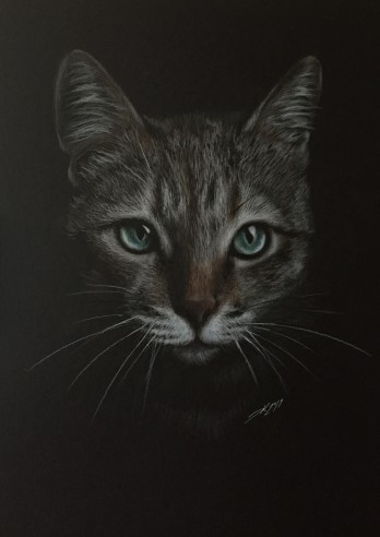 Painting карандашом Gray cat 