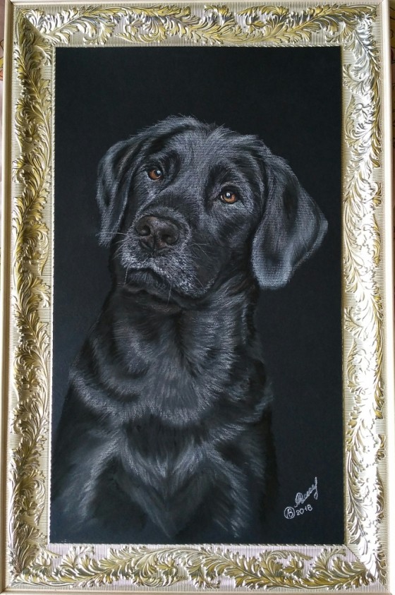 Painting пастелью Графит