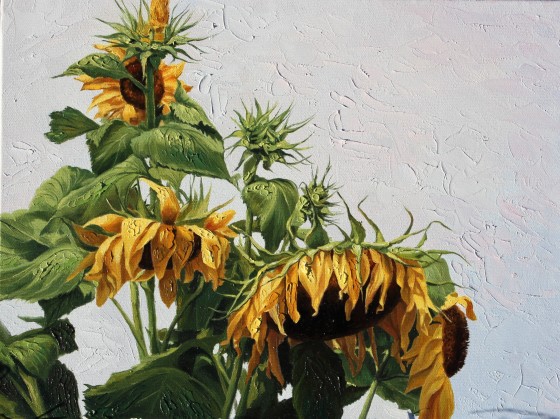 Painting маслом Солнечные цветы
