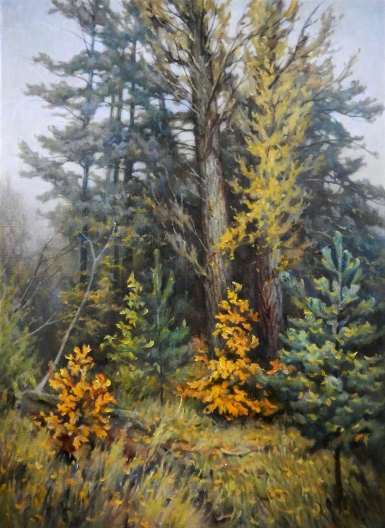 Painting маслом Смешанный лес. Дубки