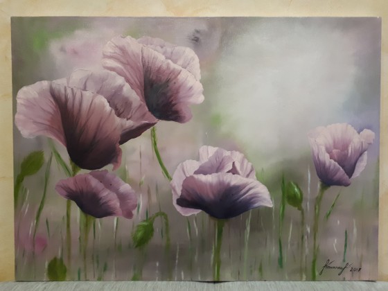 Painting маслом Дикие маки