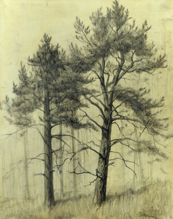Painting карандашом Два кедра