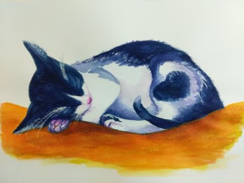 Painting акварелью Спящий котёнок