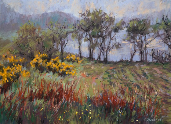 Painting пастелью На берегу озера Лох Несс