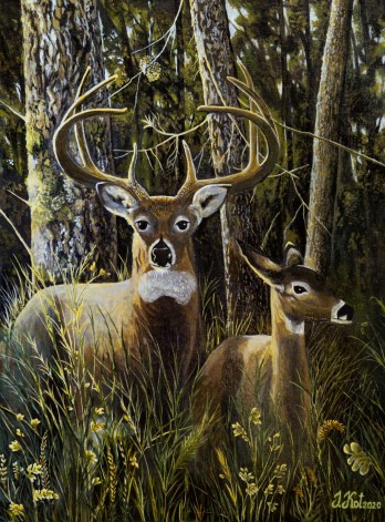 Painting маслом Оленья прогулка