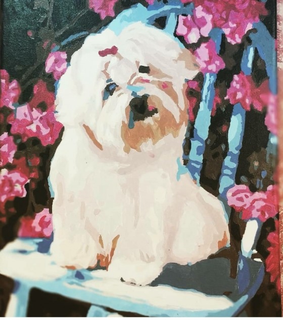 Painting акрилом Пёсик в цветах 