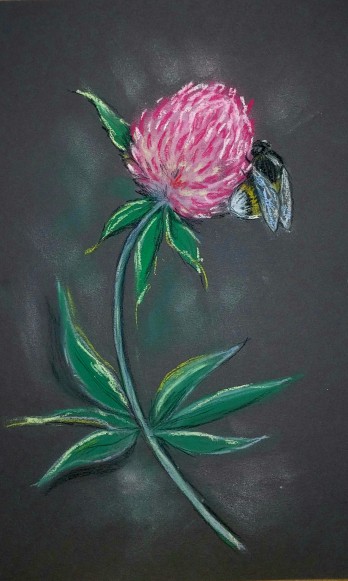 Painting пастелью Мохнатый шмель