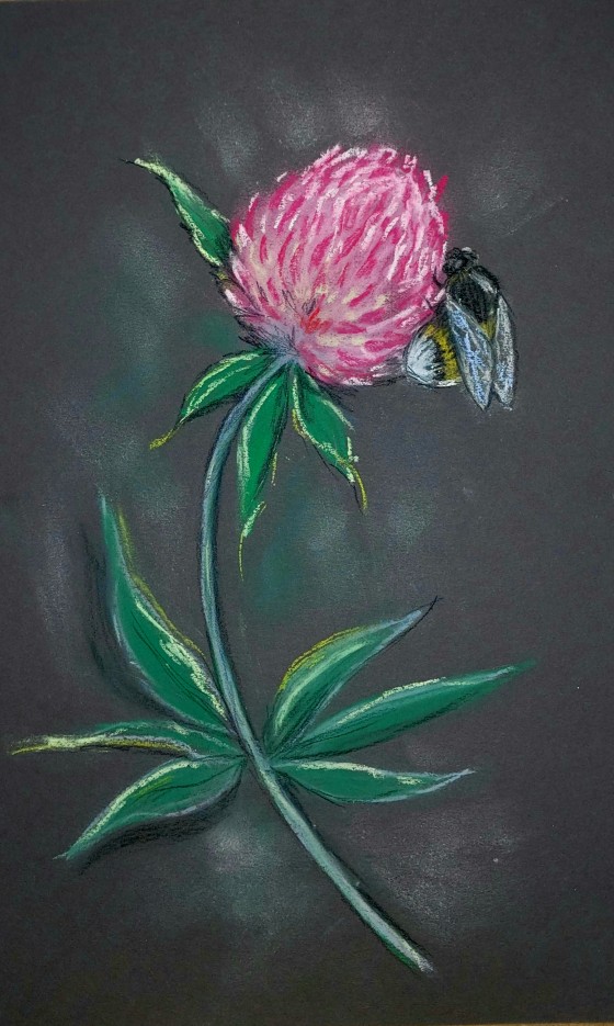Painting пастелью Мохнатый шмель