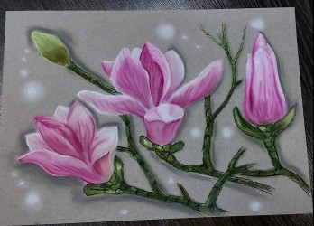 Painting пастелью Магнолия