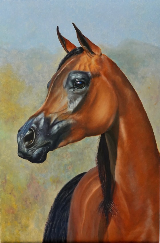 Painting маслом Арабский скакун 