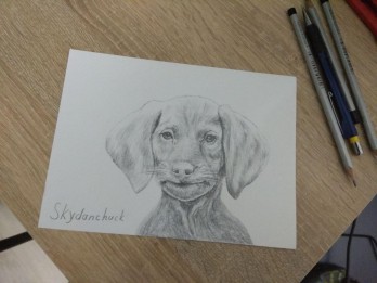 Painting карандашом Dog