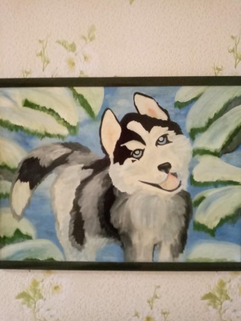 Painting маслом Игривый хаски