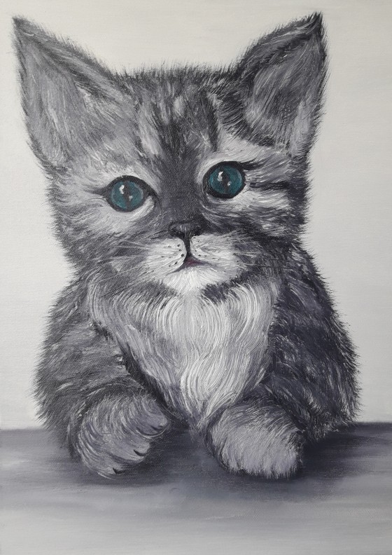 Painting маслом Котик