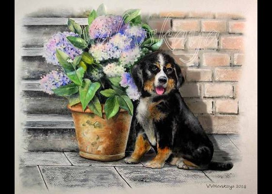 Painting акварелью Любимая гортензия