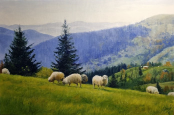 Painting маслом Овці