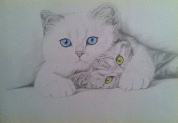 Painting карандашом Котики