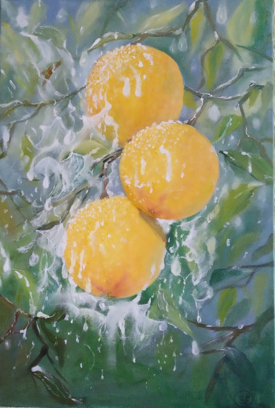 Painting маслом Апельсины под дождем