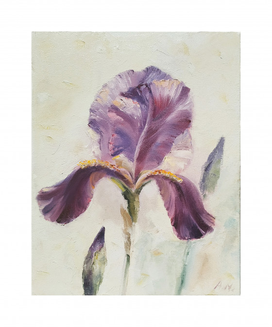Painting маслом Ирис / Iris flower
