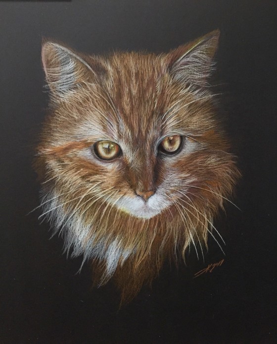 Картина карандашом Ginger cat