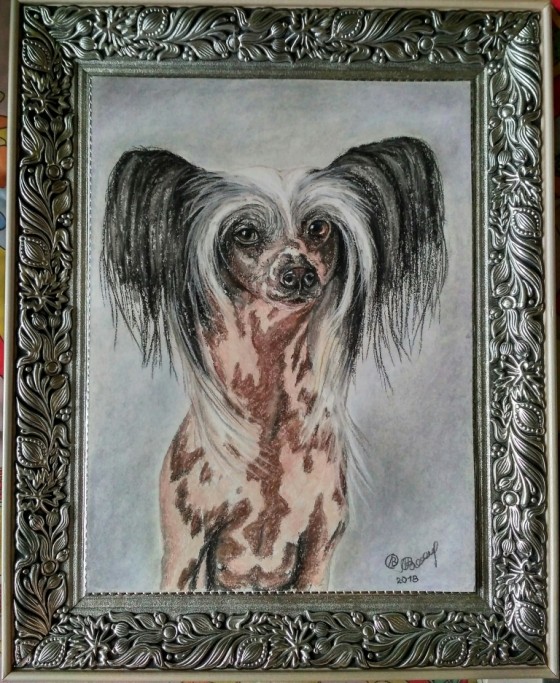 Картина пастелью Никса