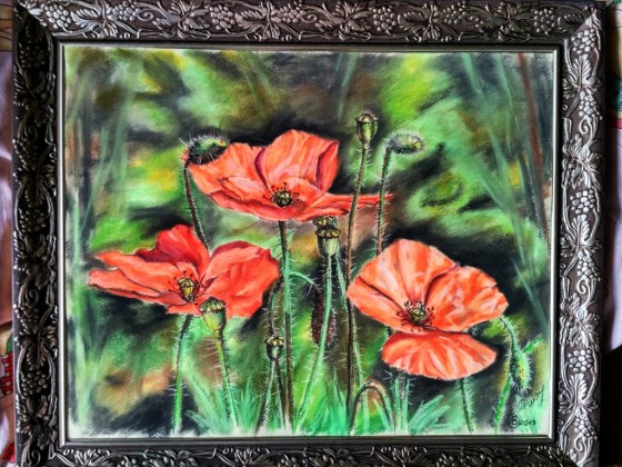 Картина пастелью Маки