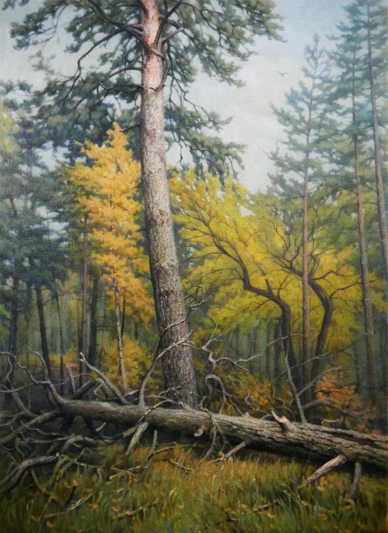 Картина маслом Смешанный лес. Сосна