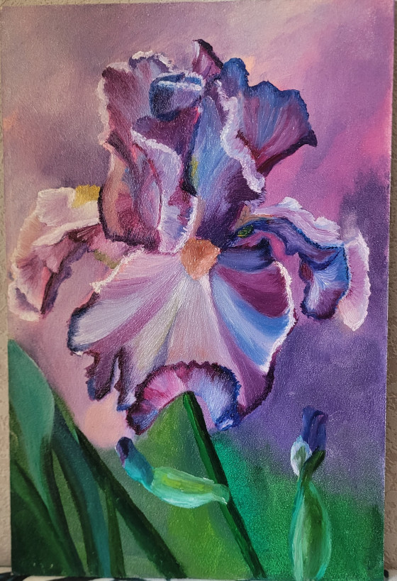 Картина маслом Картина маслом Ірис