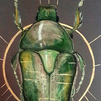 Картина в смешанной технике Майский жук