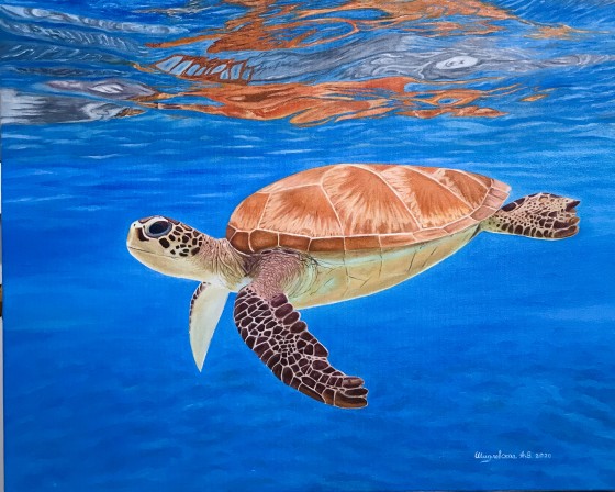 Картина маслом Черепашка