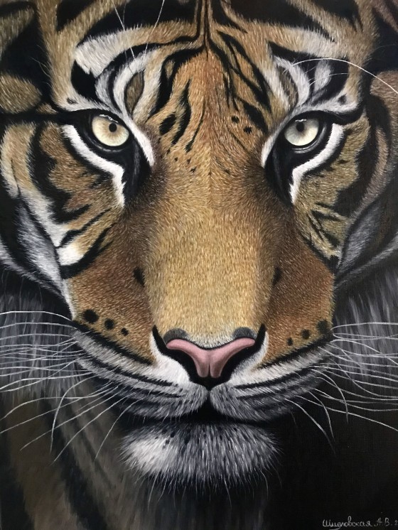 Картина маслом Тигр