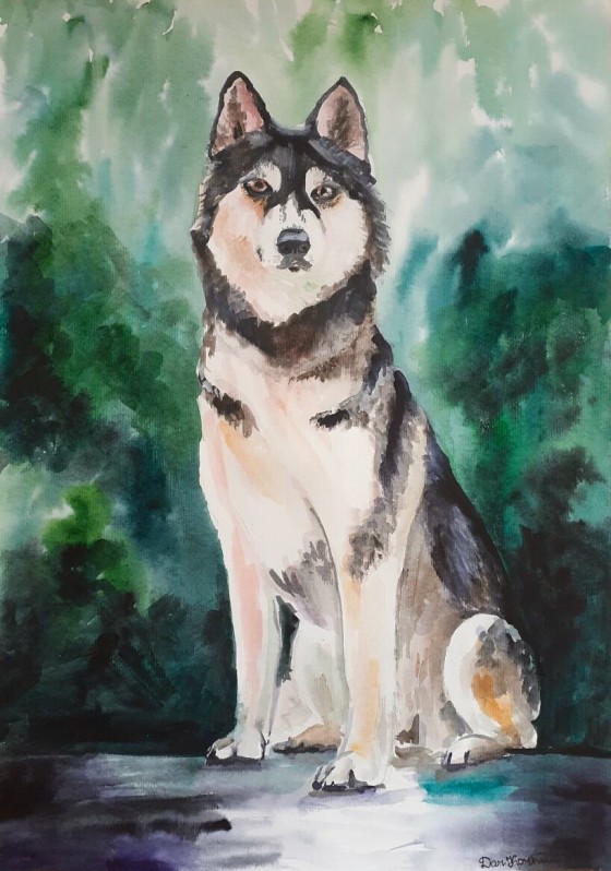 Картина акварелью Хаски