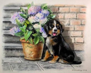 Картина акварелью Любимая гортензия