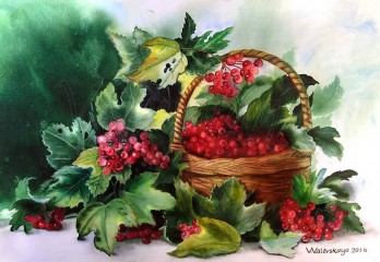 Картина акварелью Корзинка с калиной