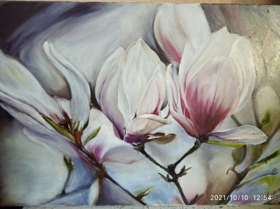 Картина маслом "Szczecińska magnolia"