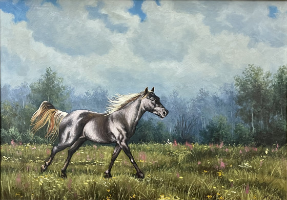 Картина маслом Галоп