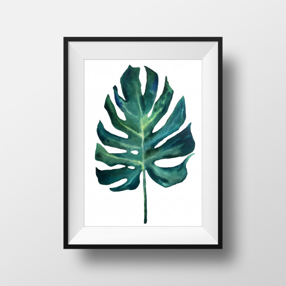 Картина акварелью Монстера