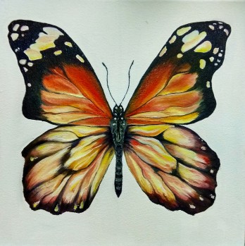 Картина маслом Бабочка 1