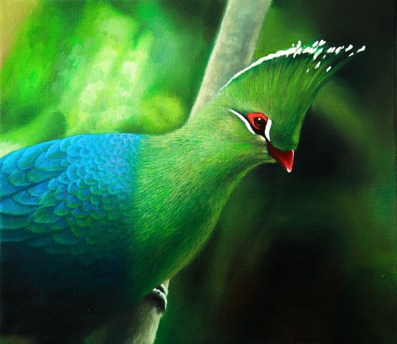 Картина маслом Турако