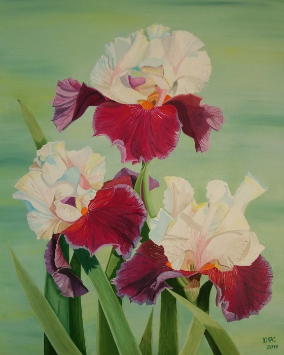 Картина маслом Ириски