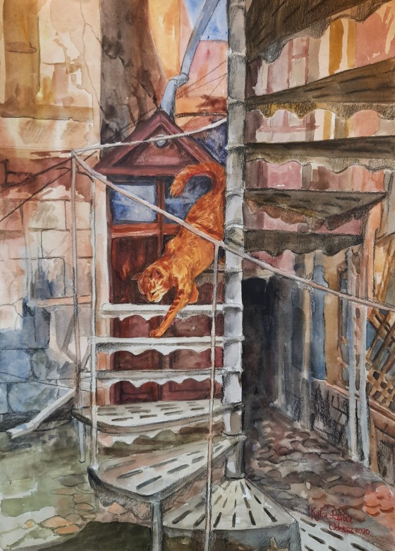 Картина акварелью Кот в одесском дворике