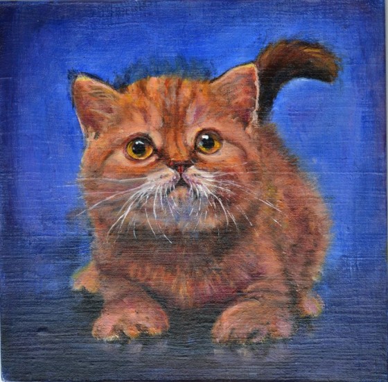 Картина маслом Рыжий котик